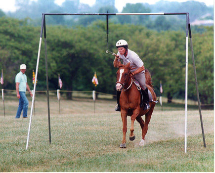 [color photograph of a horseback rider jousting]