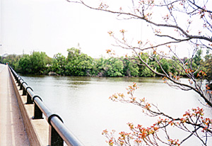 [color photograph of Spa Creek, Annapolis]